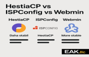 HestiaCP, ISPConfig ve Webmin Karşılaştırması